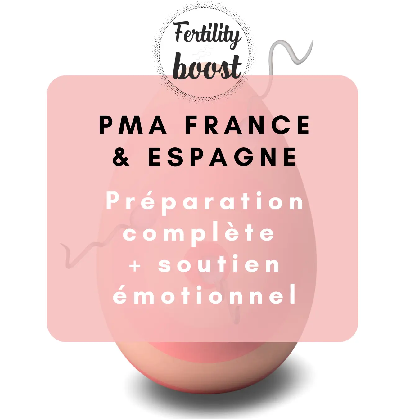 Pack 5 séances accompagnement personnalisé conception naturelle / PMA